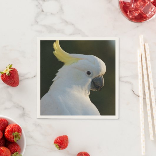 Papierservietten Kakadu Servetten (Insitu)