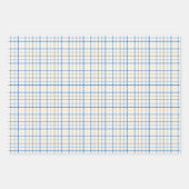 Papierset met onmiddellijke verpakking - blauwe ra inpakpapier vel (Voorkant 3)