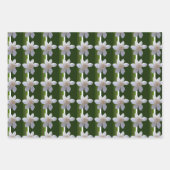 Papierset met onmiddellijke verpakking - Gardenias Inpakpapier Vel (Voorkant 2)