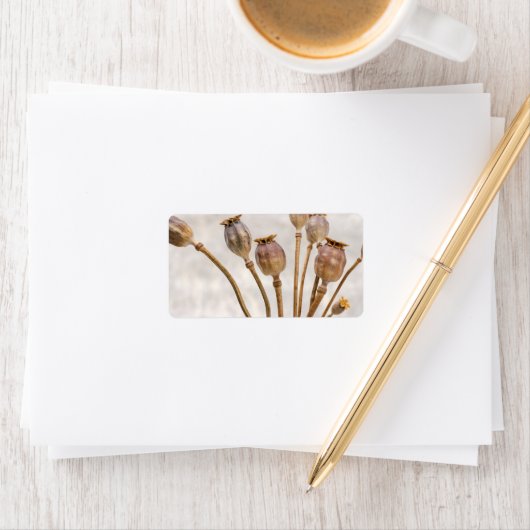 Papierstropotigen Etiket (Insitu)