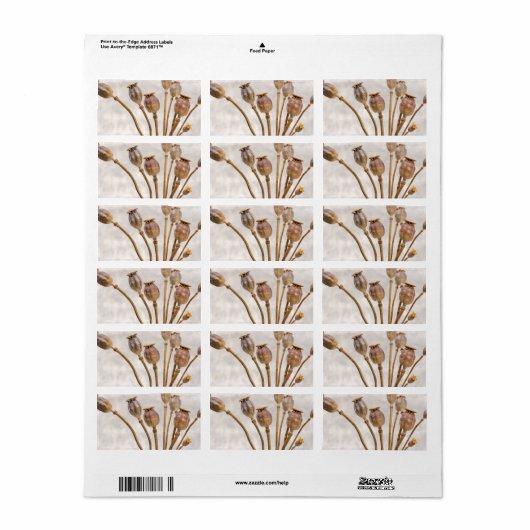 Papierstropotigen Etiket (Full Sheet)