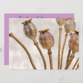 Papierstropotigen Kaart (Voorkant / Achterkant)