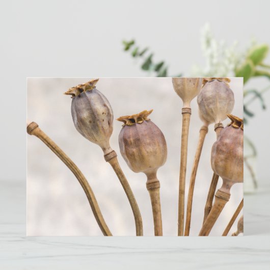 Papierstropotigen Kaart (Staand voorkant)