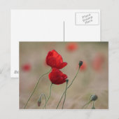 Papierveld Briefkaart (Voorkant / Achterkant)