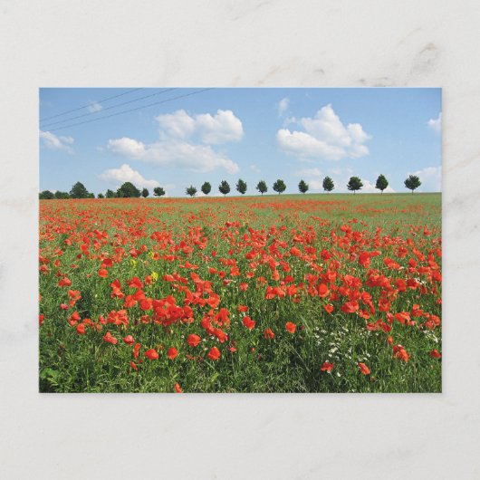 Papierveld Briefkaart (Voorkant)