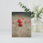 Papierveld Briefkaart (Staand voorkant)