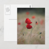 Papierveld Briefkaart (Voorkant / Achterkant)