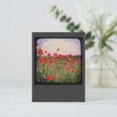 Papierveld Briefkaart (Staand voorkant)