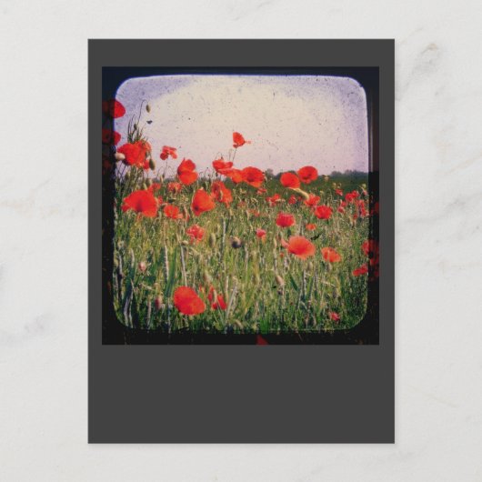 Papierveld Briefkaart (Voorkant)