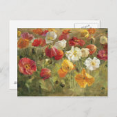 Papierveld Briefkaart (Voorkant / Achterkant)