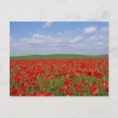 Papierveld Briefkaart (Voorkant)