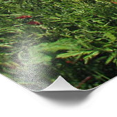 Papierveld Foto Afdruk (Hoek)