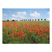 Papierveld Foto Afdruk (Voorkant)