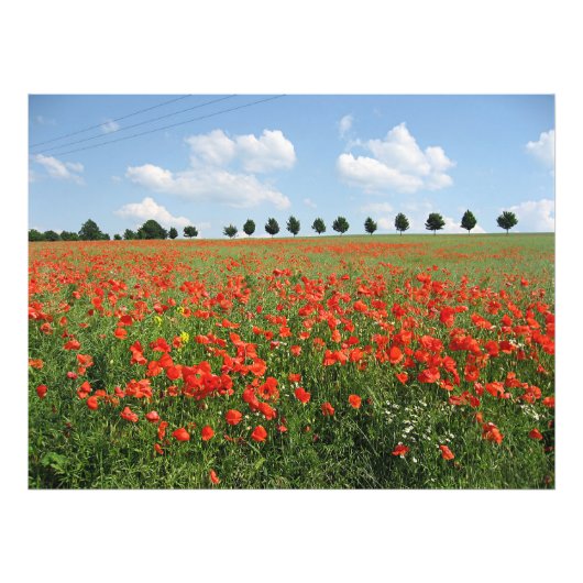 Papierveld Foto Afdruk (Voorkant)