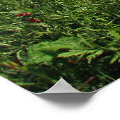 Papierveld Poster (Hoek)