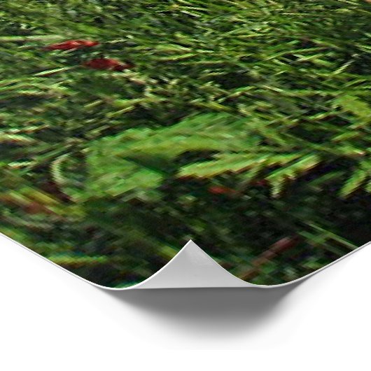 Papierveld Poster (Hoek)