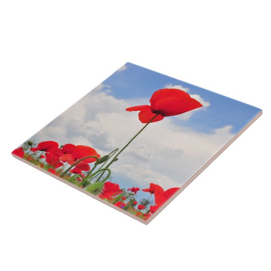 Papierveld Tegeltje (Zijkant)