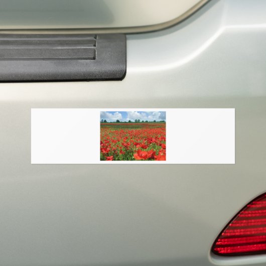 Papiervelden Bumpersticker (Op auto)