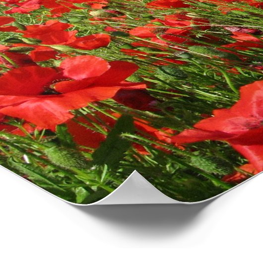 Papiervelden Poster (Hoek)