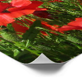 Papiervelden Poster (Hoek)