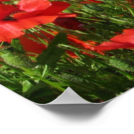 Papiervelden Poster (Hoek)