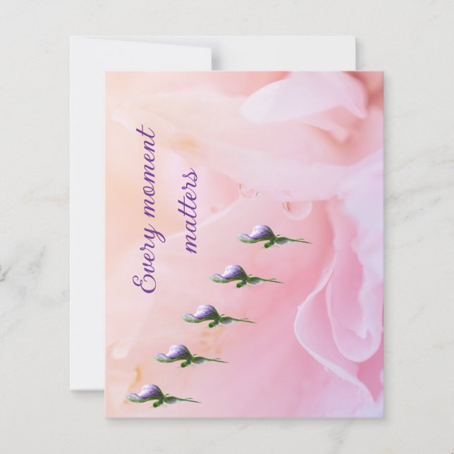 Papiervellen (Voorkant)