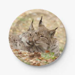 Papiervlak. Foto Lynx. Papieren Bordje