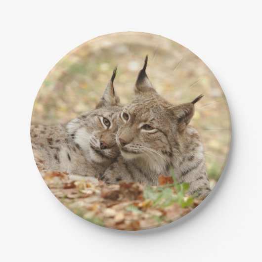 Papiervlak. Foto Lynx. Papieren Bordje (Voorkant)
