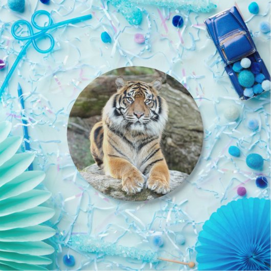 Papiervlak. Fototijger 04. Papieren Bordje (Feest)