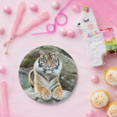 Papiervlak. Fototijger 04. Papieren Bordje (Feest)