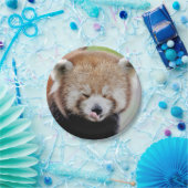 Papiervliegtuig Foto: rood panda 0471. Papieren Bordje (Feest)