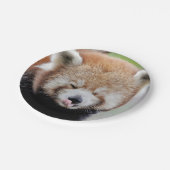 Papiervliegtuig Foto: rood panda 0471. Papieren Bordje (Gekanteld)