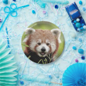 Papiervliegtuig Foto: rood panda 0472. Papieren Bordje (Feest)