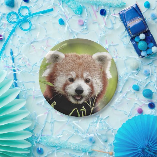 Papiervliegtuig Foto: rood panda 0472. Papieren Bordje (Feest)