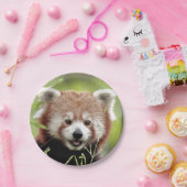 Papiervliegtuig Foto: rood panda 0472. Papieren Bordje (Feest)