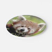 Papiervliegtuig Foto: rood panda 0472. Papieren Bordje (Gekanteld)