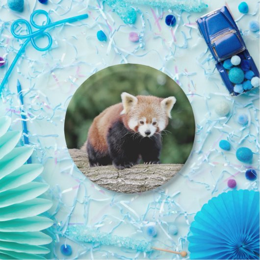 Papiervliegtuig Foto: rood panda 0473. Papieren Bordje (Feest)