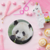 Papiervliegtuig Fotogigant panda 0309. Papieren Bordje (Feest)