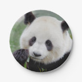 Papiervliegtuig Fotogigant panda 0309. Papieren Bordje (Voorkant)