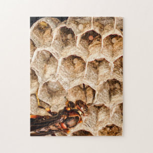 Papierwassen met nesten- en eierpuzzel legpuzzel