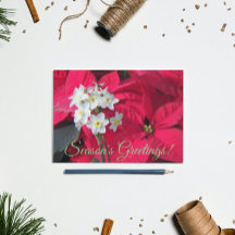 Papierwitten en Rode Poinsettia Bloemstuk