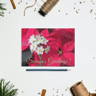 Papierwitten en Rode Poinsettia Bloemstuk Feestdagenkaart