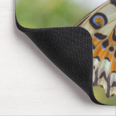 Papilio demoleus muismat (Hoek)