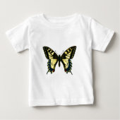 Papilio machaon (Voorkant)