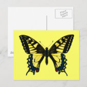 Papilio machaon briefkaart (Voorkant / Achterkant)