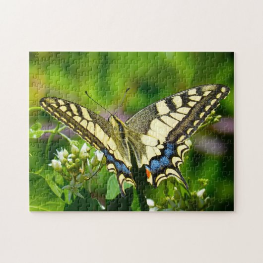 Papilio Machaon Butterfly. Legpuzzel (Horizontaal)