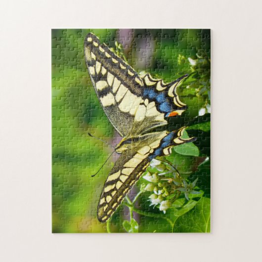 Papilio Machaon Butterfly. Legpuzzel (Verticaal)