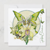 Papilio Orchidaceae (Voorkant)