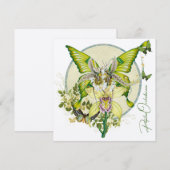 Papilio Orchidaceae (Voorkant / Achterkant)