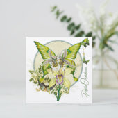 Papilio Orchidaceae (Staand voorkant)